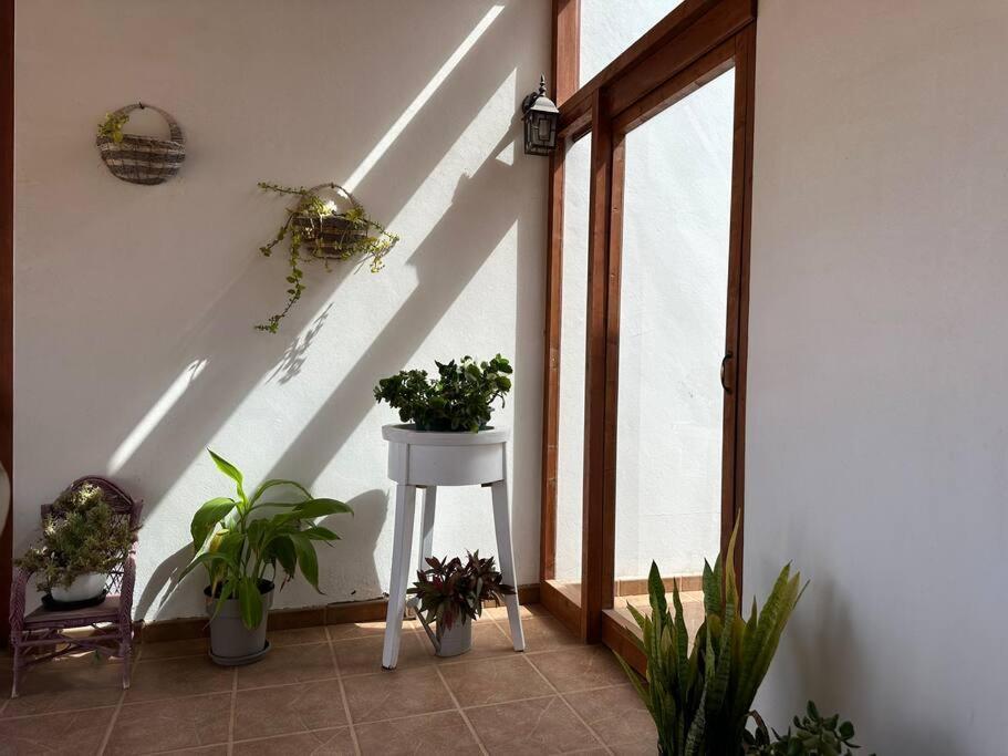 Private Villa With Pool In The Mountains Pájara Екстериор снимка